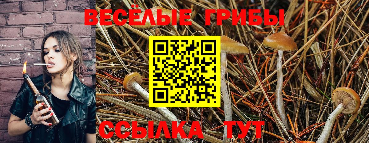 Галлюциногенные грибы GOLDEN TEACHER  Вход с VPN  дарнет шоп  Торжок  Галлюциногенные грибы мухоморы 